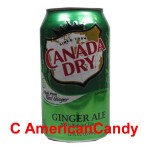 24x Canada Dry Ginger Ale incl. Pfand