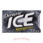 Dentyne Ice Arctic Chill 16er