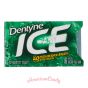 Dentyne Ice Spearmint 16er