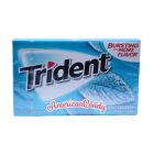 Trident Wintergreen 18er